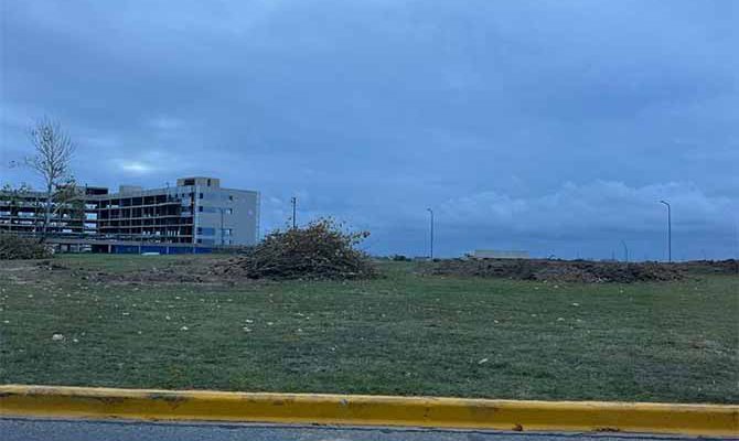 La rotonda principal de Nordelta se quedó sin árboles