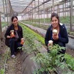 Productos Agroecológicos al alcance de todos