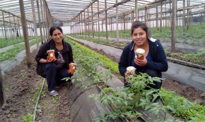 Productos Agroecológicos al alcance de todos