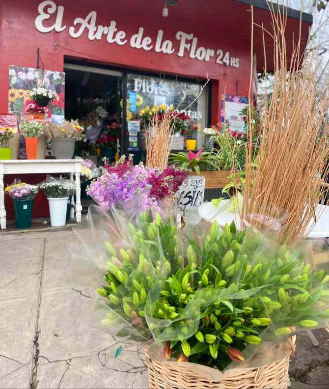 El Arte de la Flor, esta es 