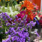 Festejar la primavera en Nordelta