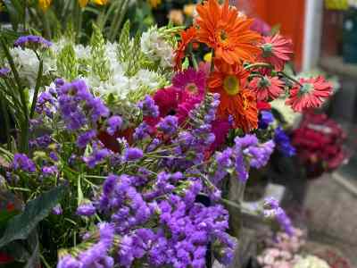 Festejar la primavera en Nordelta