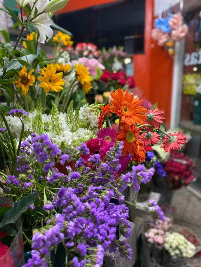 Festejar la primavera en Nordelta 