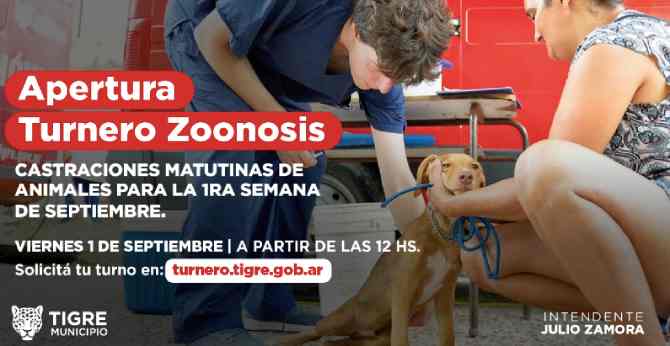 Esterilización de tus mascotas en Tigre