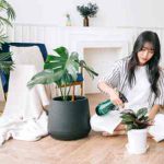La conexión entre las plantas y la música