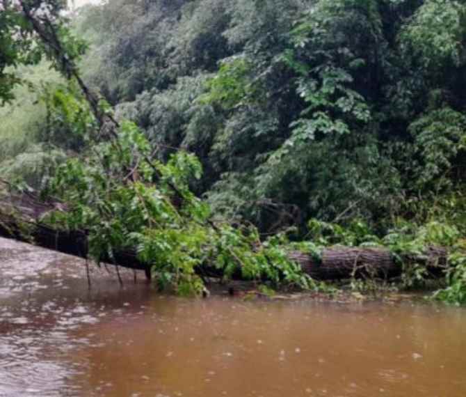 El Delta sigue sin luz desde el temporal