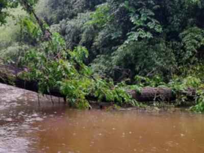 El Delta sigue sin luz desde el temporal