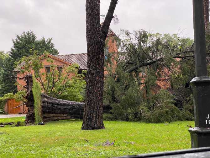 El después del temporal en Tigre