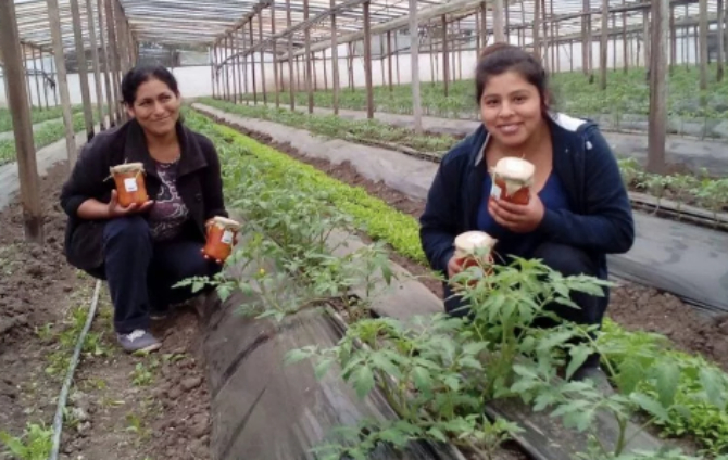 Verduras, frutas y productos agroecológicos