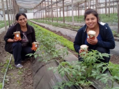 Verduras, frutas y productos agroecológicos