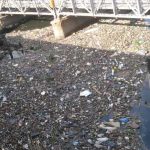 Contaminación del Río Reconquista