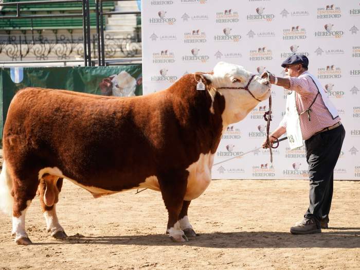Llegó La Rural 2025: una actividad ideal para estas vacaciones de invierno