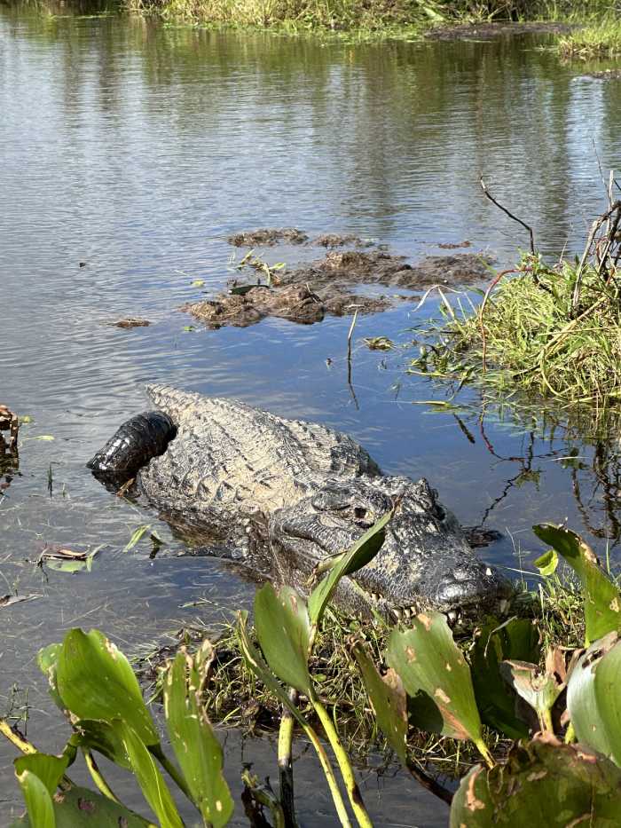 La tierra del agua