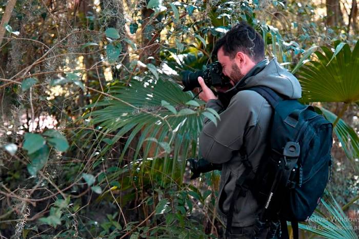 Llega la 7° edición del Tigre Photo Fest 2025
