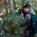 Llega la 7° edición del Tigre Photo Fest 2025