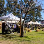 Grand Market Navidad 2025: en Pueblo Caamaño