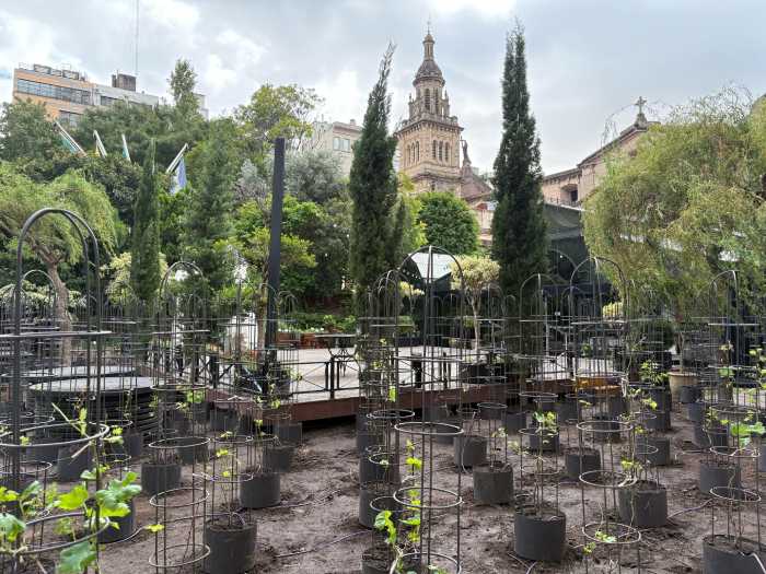 Año Nuevo entre viñas en plena ciudad