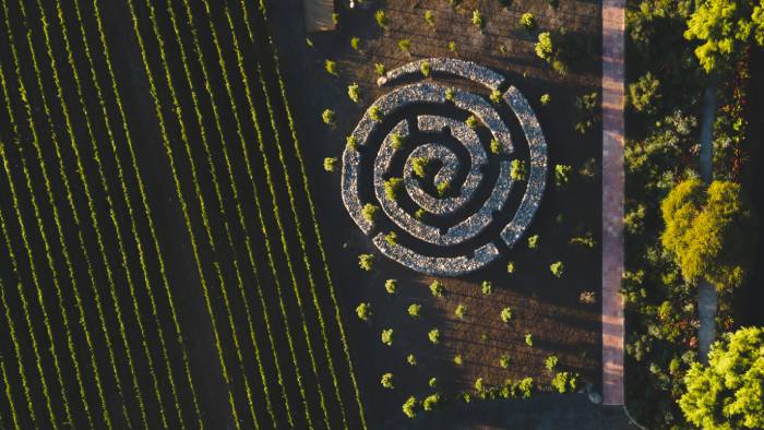 Verano en Cafayate: vinos de altura y sabores del norte en una experiencia para disfrutar sin apuro