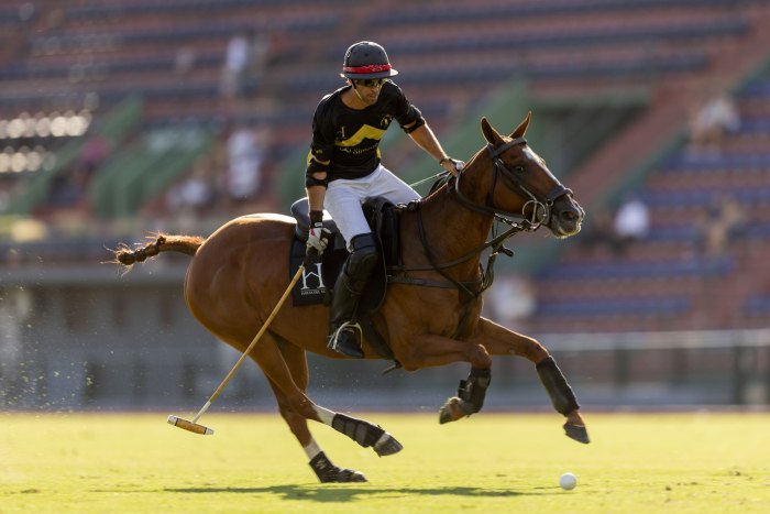 Polo en Palermo: un plan distinto para cerrar febrero al aire libre
