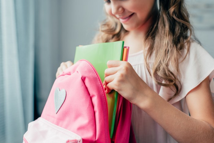 Vuelta al cole en Nordelta: movimiento en barrios, centros comerciales y agenda familiar