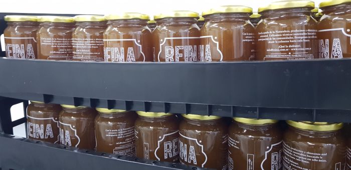 Las abejas, protagonistas silenciosas de un equilibrio que también impacta en la vida cotidiana