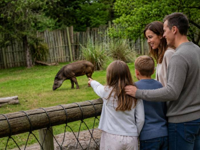 Vacaciones de invierno: Temaikèn renueva sus experiencias e invita a "salir de la pantalla"