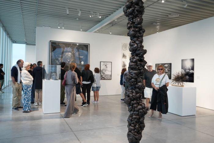 Qué hacer en Escobar: "Metamorfo", la muestra de Malba Puertos que invita a reflexionar sobre el cambio
