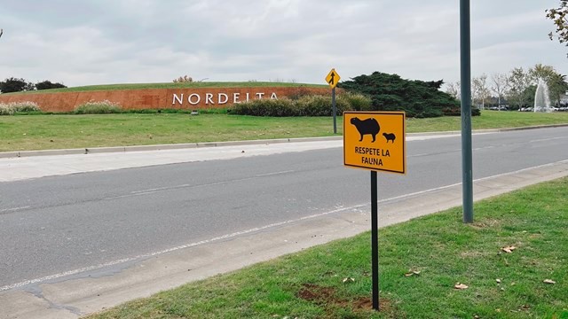 Tigre abre la consulta pública por el Estudio de Impacto Ambiental Acumulativo de Nordelta