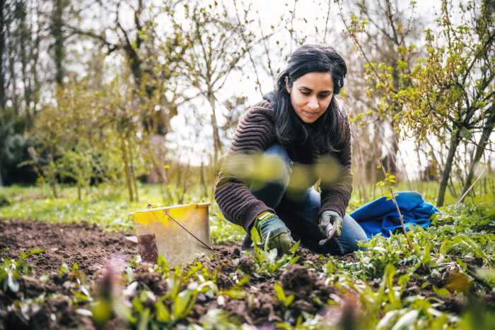 Julio en el jardín: las tareas imprescindibles del invierno para llegar a la primavera con un espacio impecable
